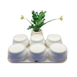 Acar 06160 Nora Collectıon1 6 Lı Tepsılı Kahvaltılık Setı