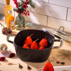 SCHAFER GASTRONOMIE MASTER GRANIT DERIN TENCERE 20 CM - 5